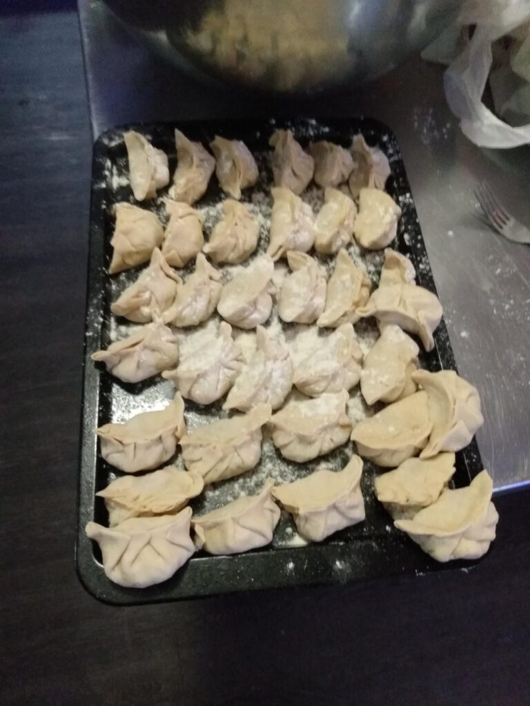 Handmade Gyoza