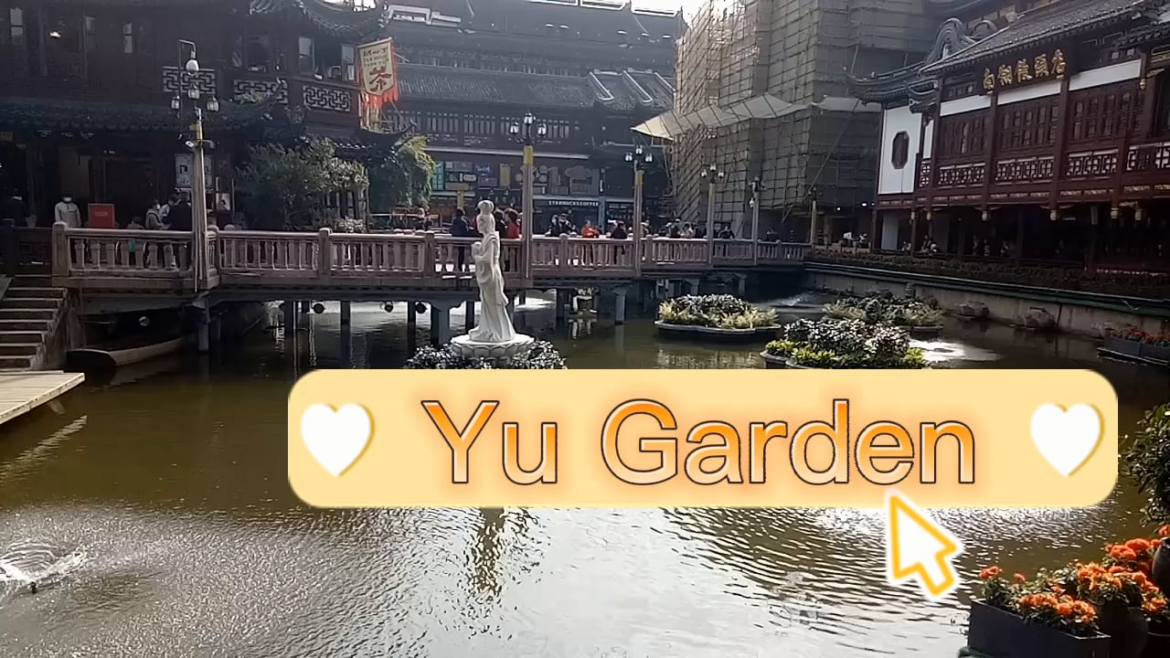 Soooo many kinds of delicous Chinese food in Shanghai#soup #friedrice #noodles #crab #meatballs #cakes #dessert