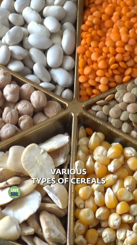 Some advice to keep in mind for having a whole vegetarian diet. I feel that some of us need to be aware of this.