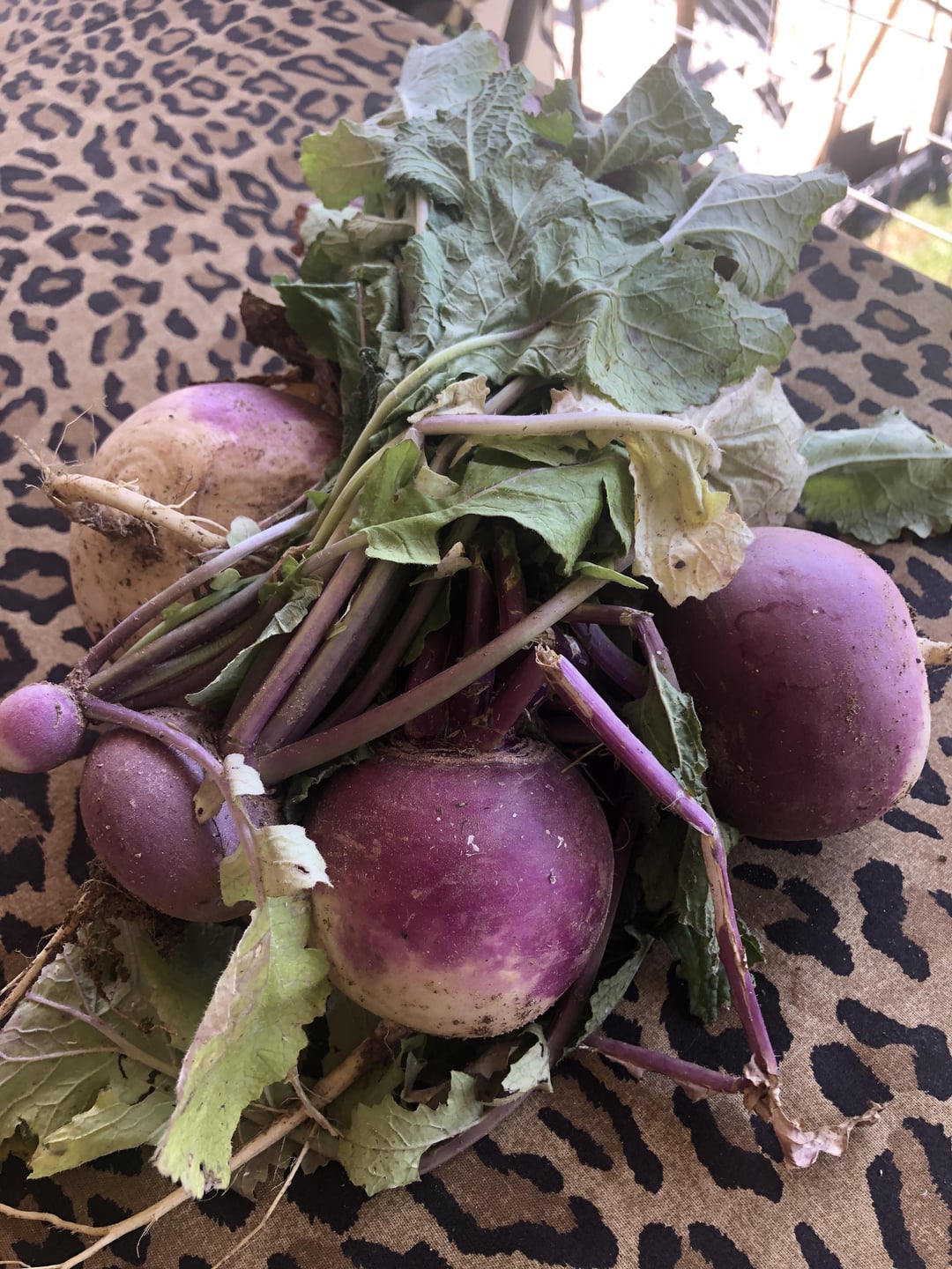 Turnips Gone Wild!! Dining and Cooking