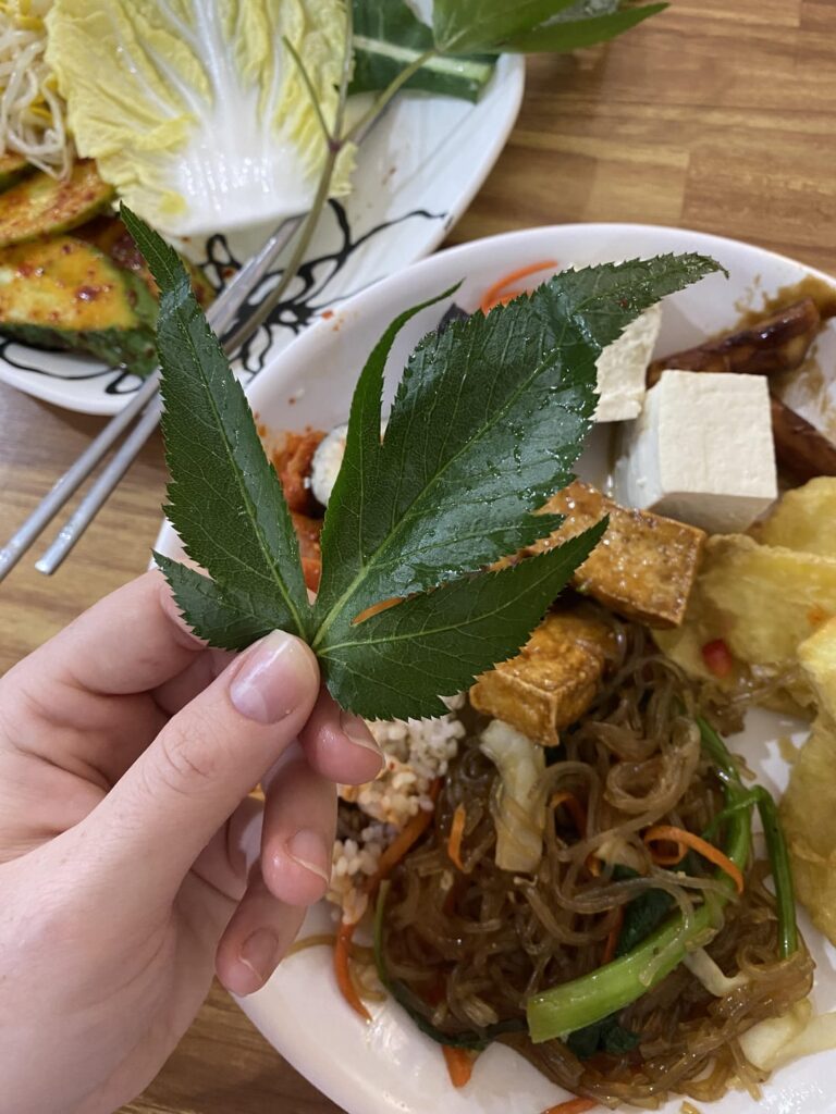 can anyone identify this plant?