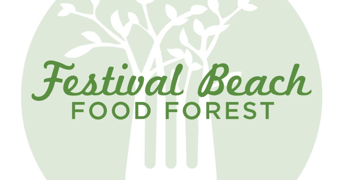 Festival Beach Food Forest