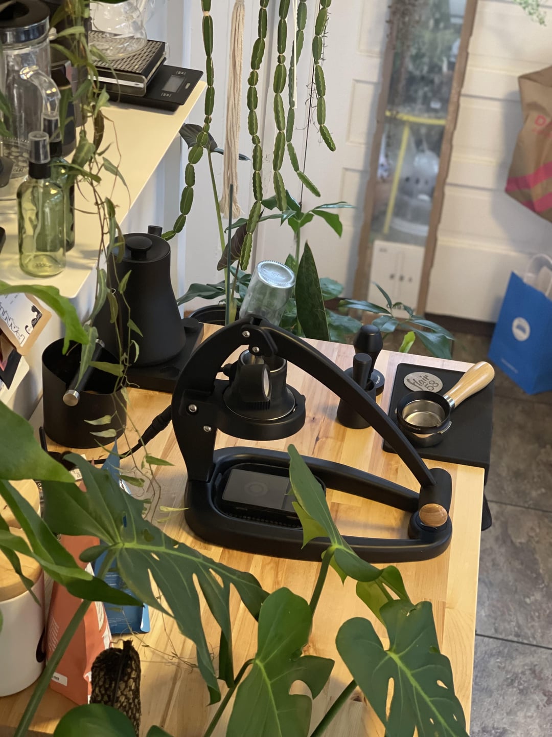 Coffee and plants. Dining and Cooking