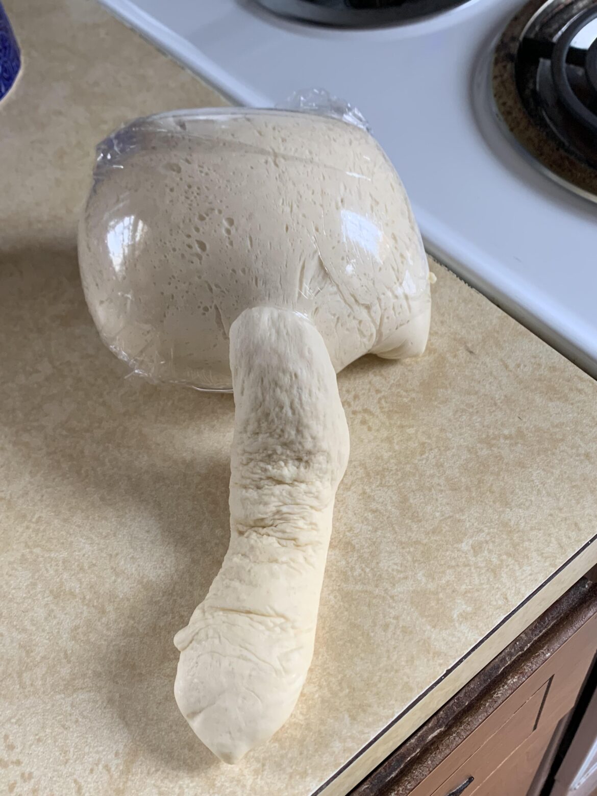 When you wrap the dough up a little too early and forget about it....