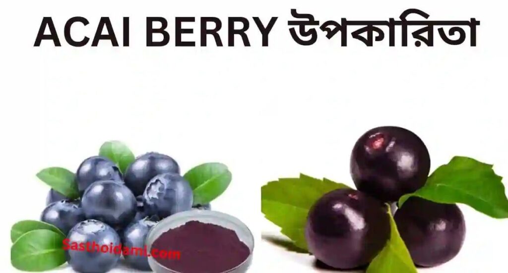 Acai Berry - আসাই ফল খাওয়ার উপকারিতা ও অপকারিতা।