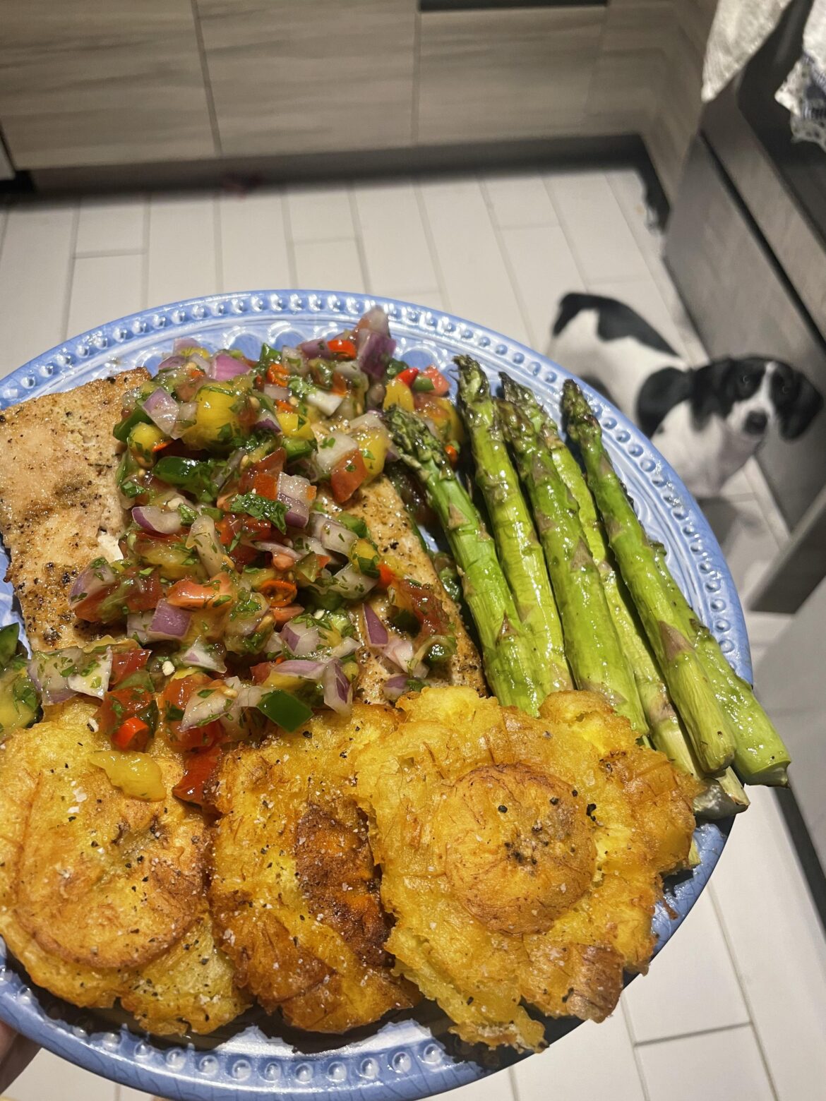 Mahi mahi, spicy mango salsa, tostones, and asparagus.