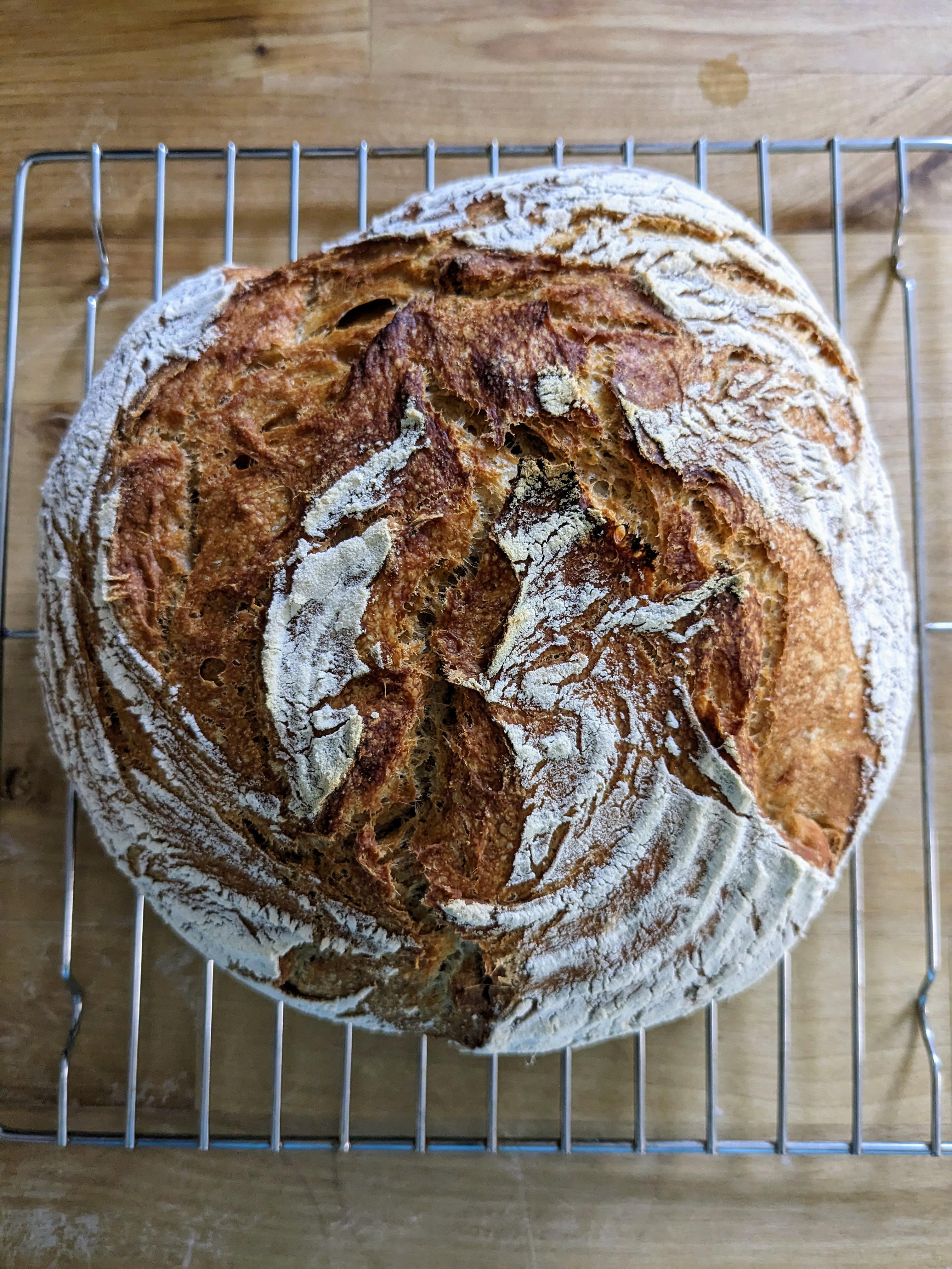 50 wheat with biga recipe from Ken Forkish's Flour Water Salt Yeast
