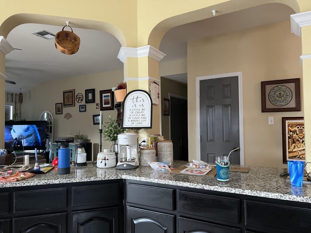 I JUST discovered this sub and decided to take a snap of my coffee area without tidying up. Please be kind.