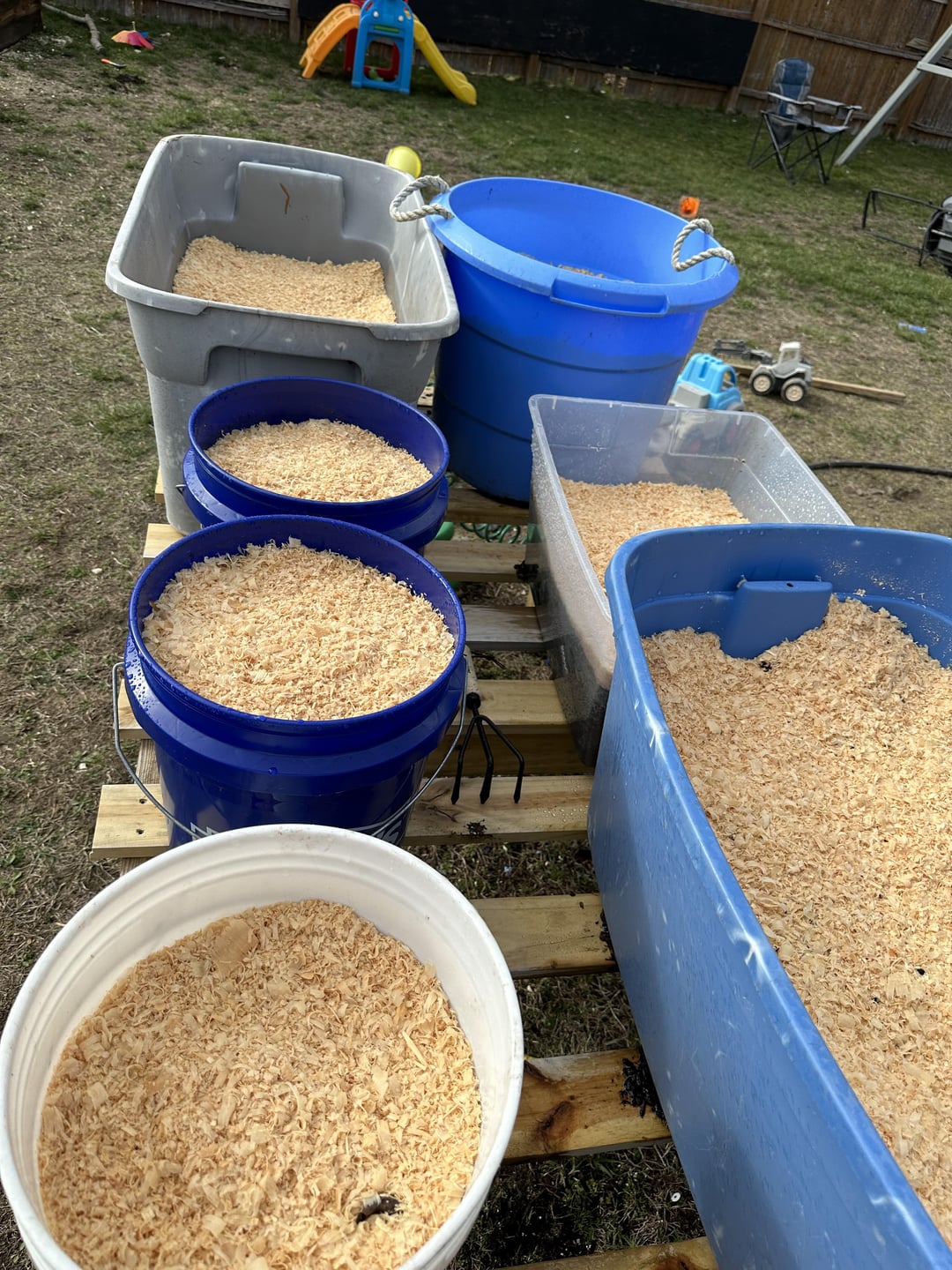 Raised beds are filled and resting, Seedlings are growing, Containers
