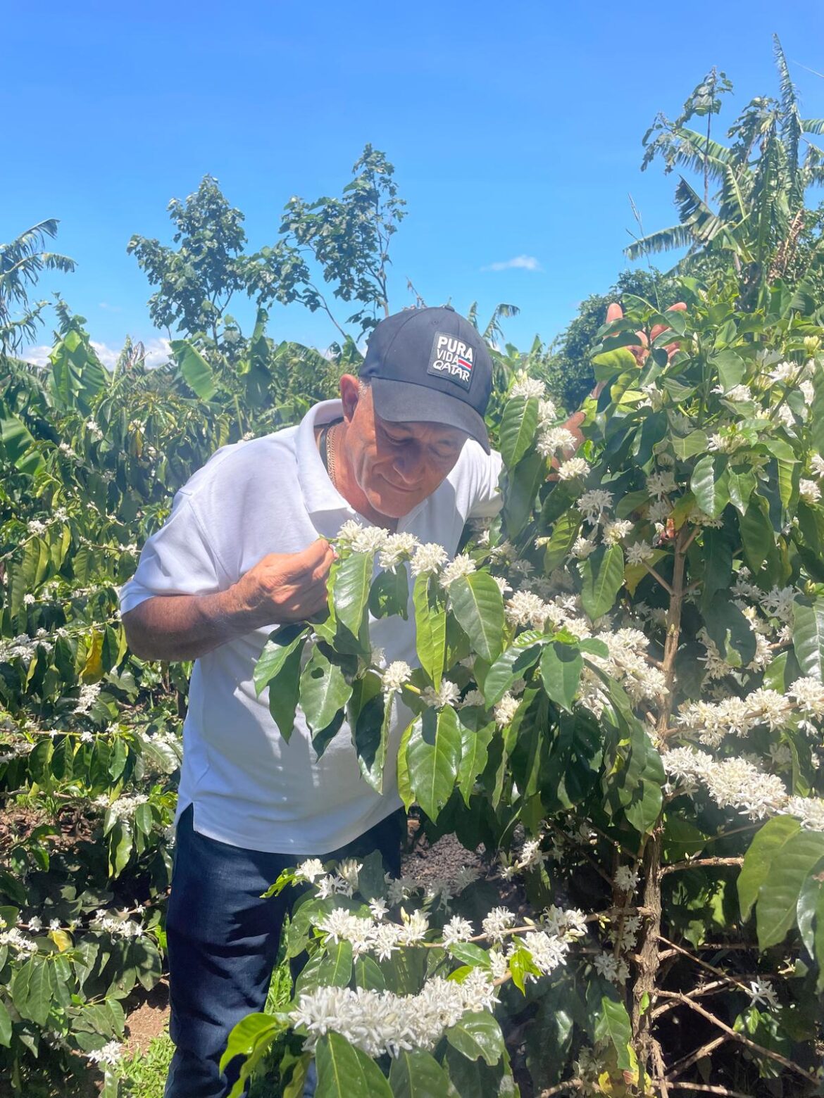 Alistando la cosecha 23/24