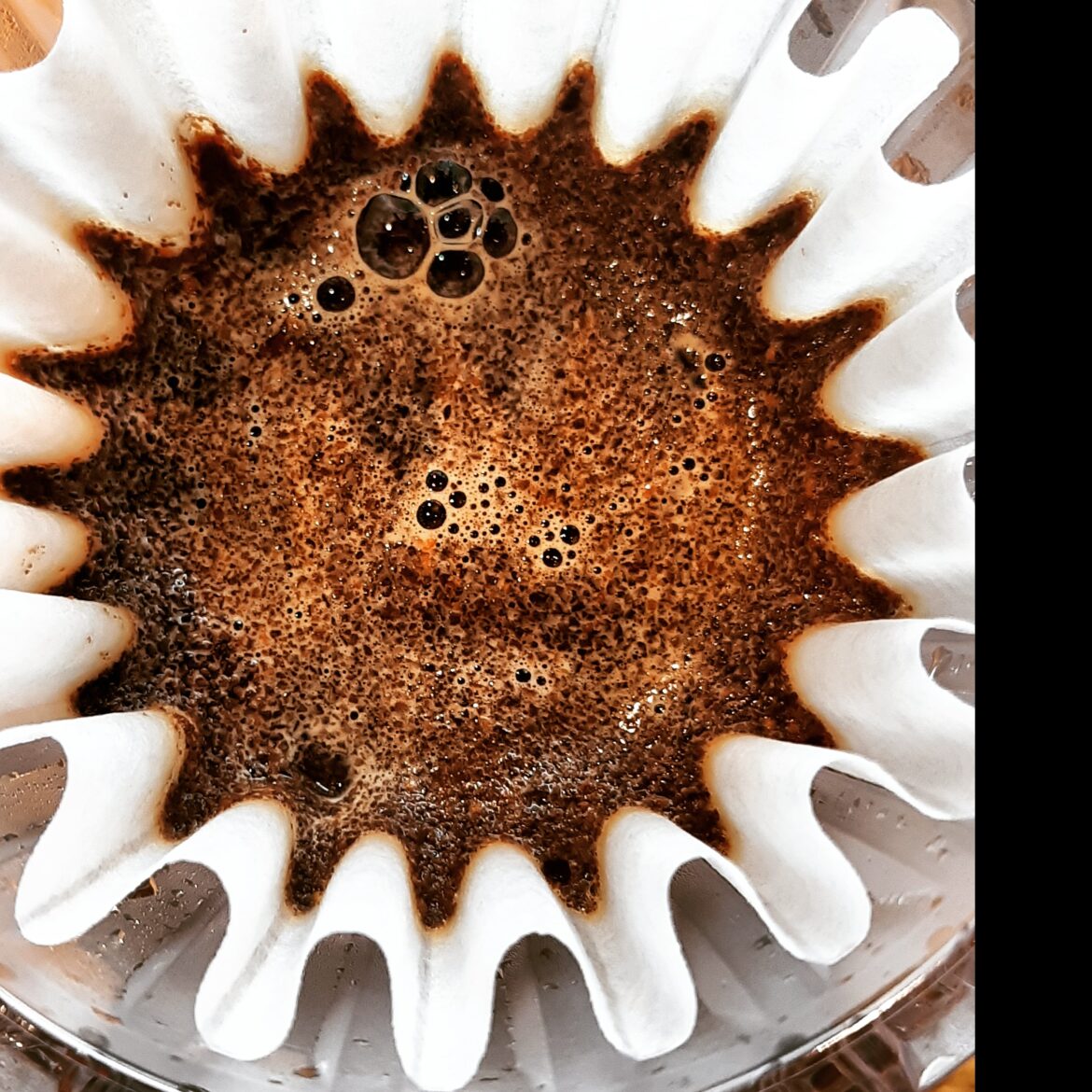 Does your coffee not release bubbles during blooming? No? Then it's already dead!