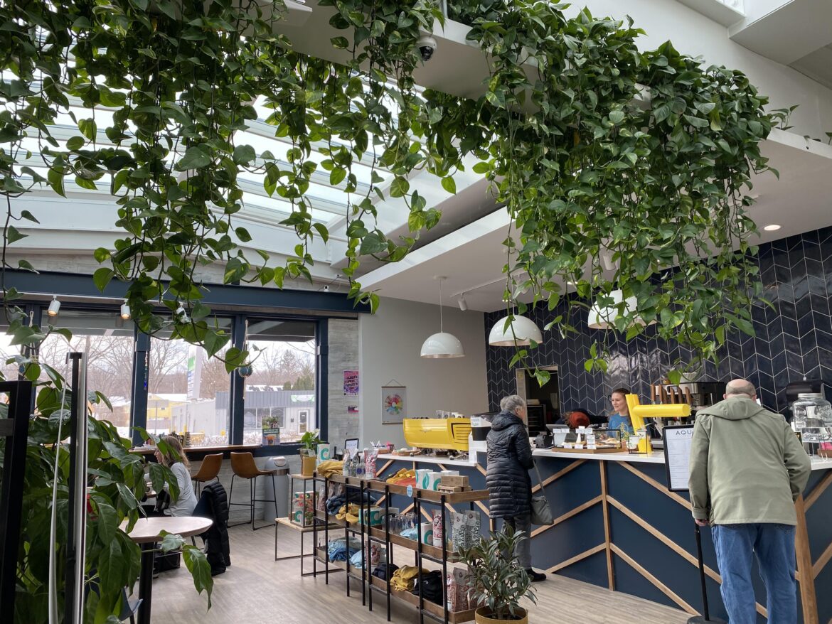 Cafe Aqi (Rochester, MN)