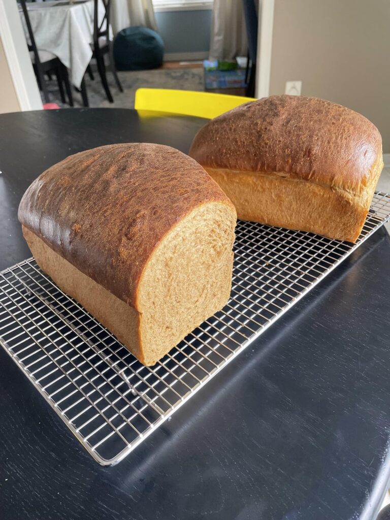 Malt bread