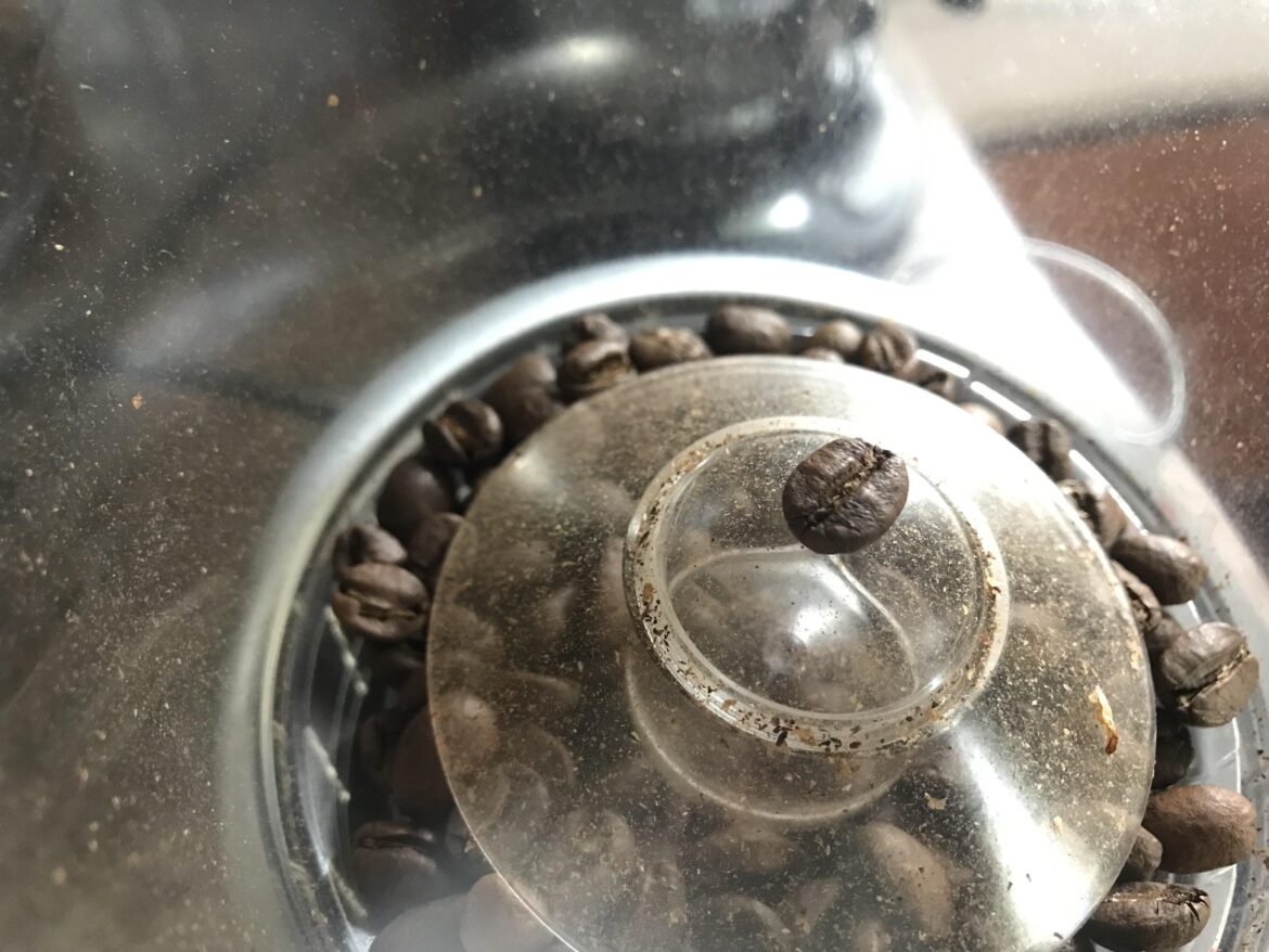 Untouched by human hands, a coffee bean shows off balancing skills