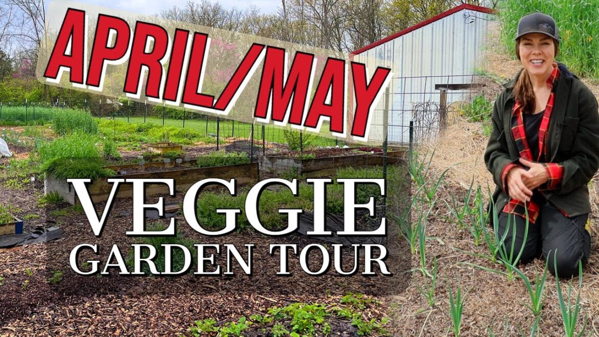 Spring Vegetable Garden Tour & Update
