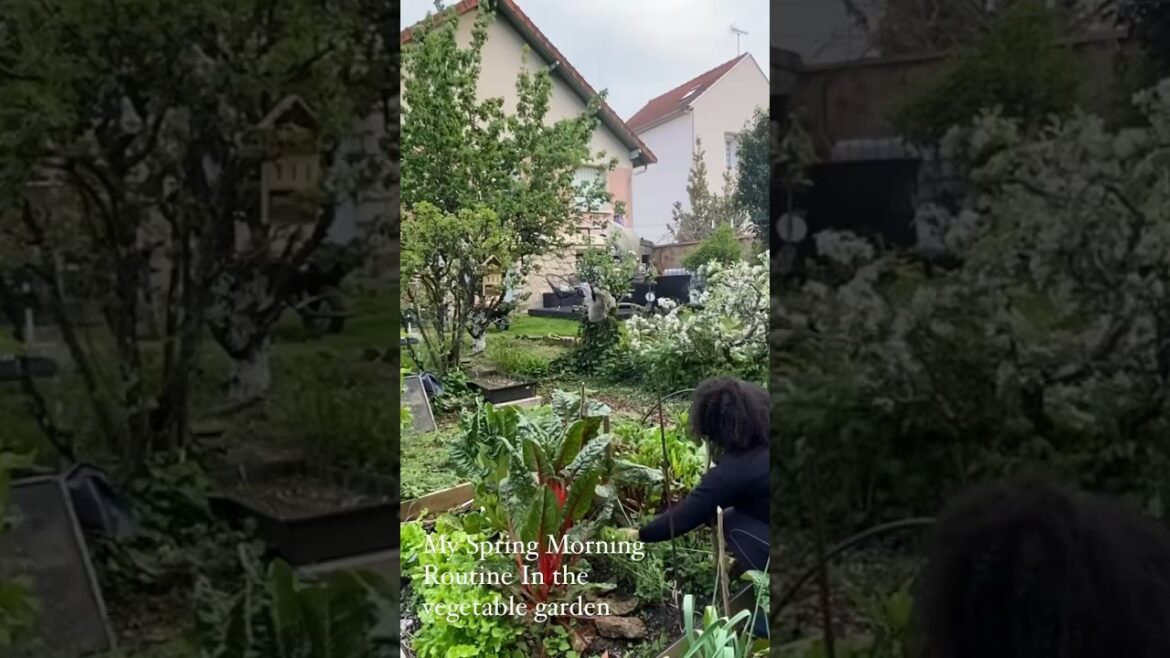 My spring Morning Routine in the vegetable garden #countryside #homestead #gardening #simplelife