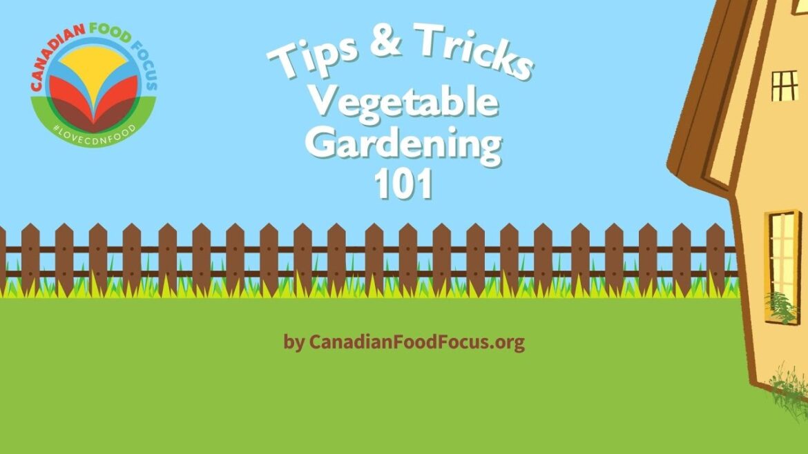 Vegetable Gardening 101 Tips and Tricks