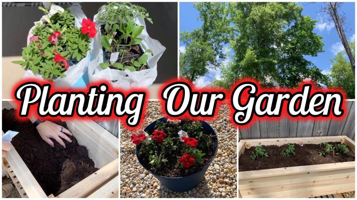 Planting the Garden | Small Raised Bed Vegetable Garden | Day in the Life