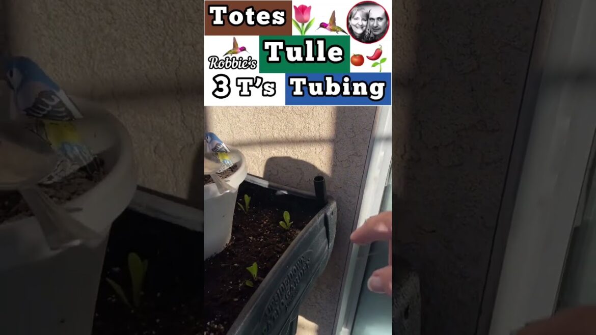 BEST PLANT STAKE Vegetable Gardening Insect Free Easy DIY Pest Control Trellis with Tubing for CHEAP