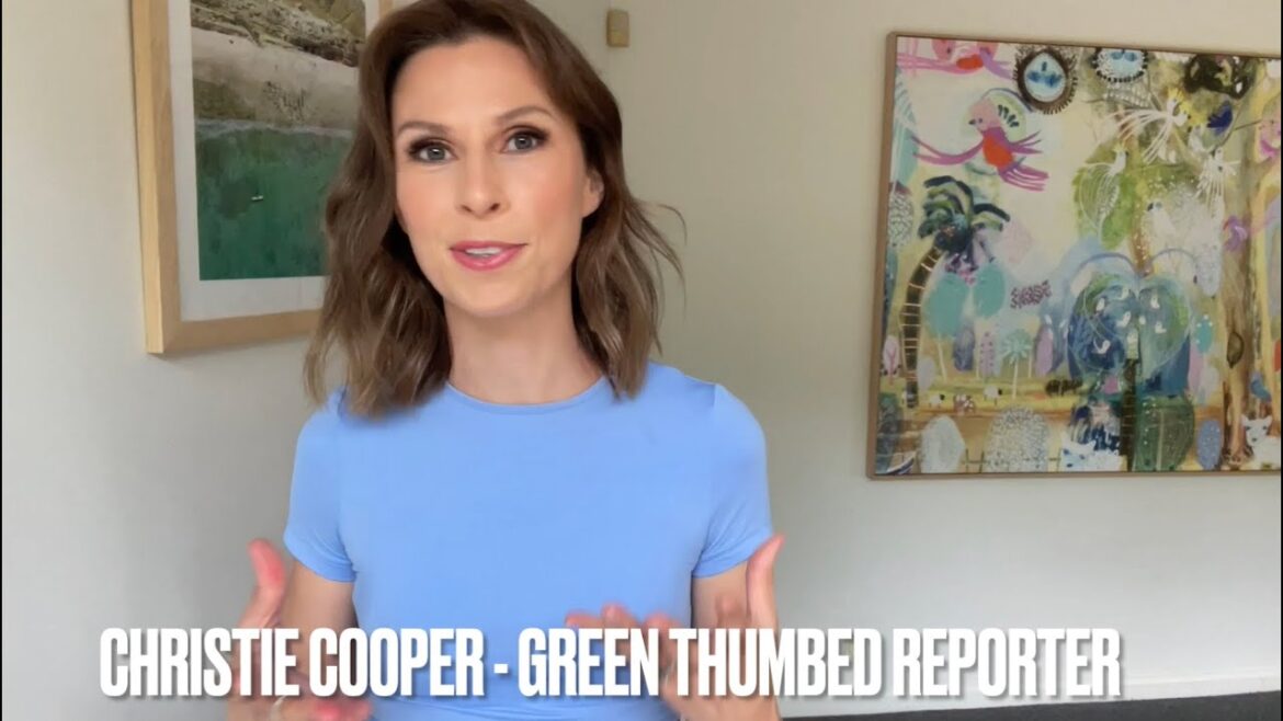 INTRODUCTION: A bit about me! beginner vegetable gardening INTRODUCTION: A bit about me! beginner vegetable gardening