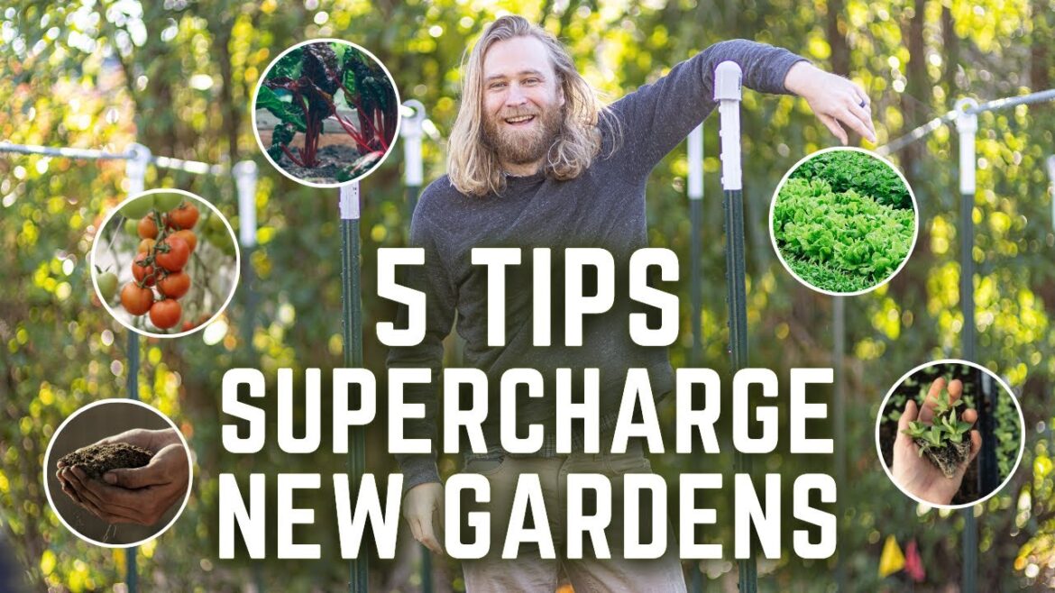 I Wish I Knew THESE 5 THINGS Before Starting A Veggie Garden
