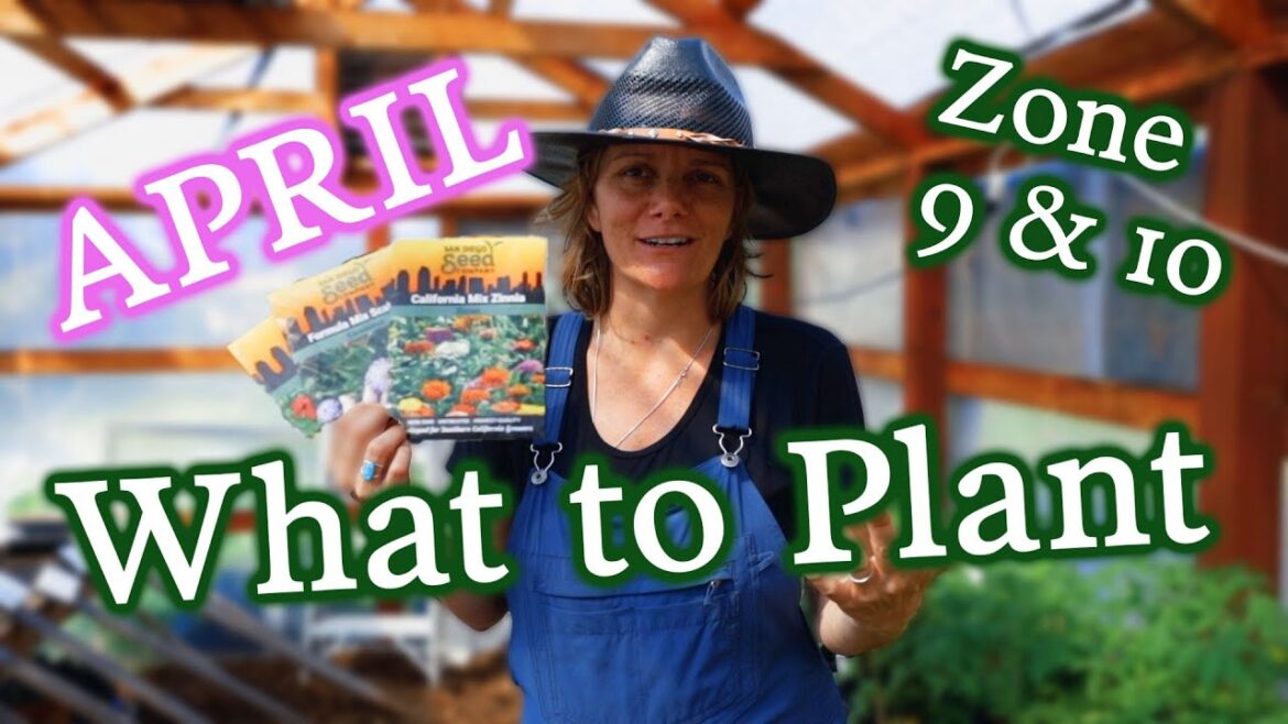 What Vegetables, Herbs & Flowers to Plant in April for Zone 9 & 10 Gardeners