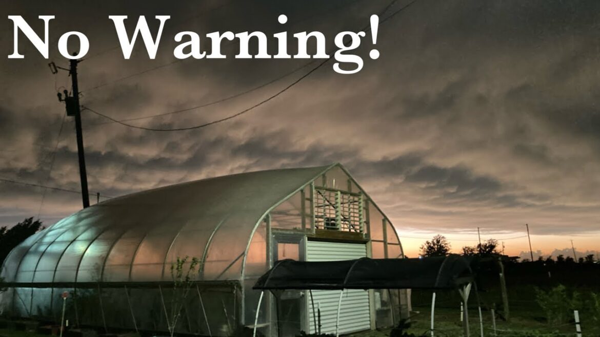 No Warning High Wind Storm. Garden update!