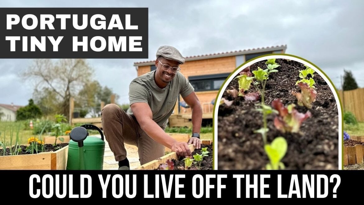 Minimalist Tiny House Living in Portugal - Vegetable Garden Included!