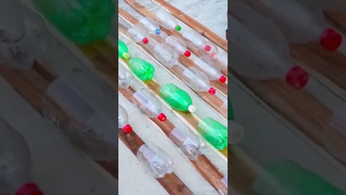 vegetable garden to provide for the family#shorts