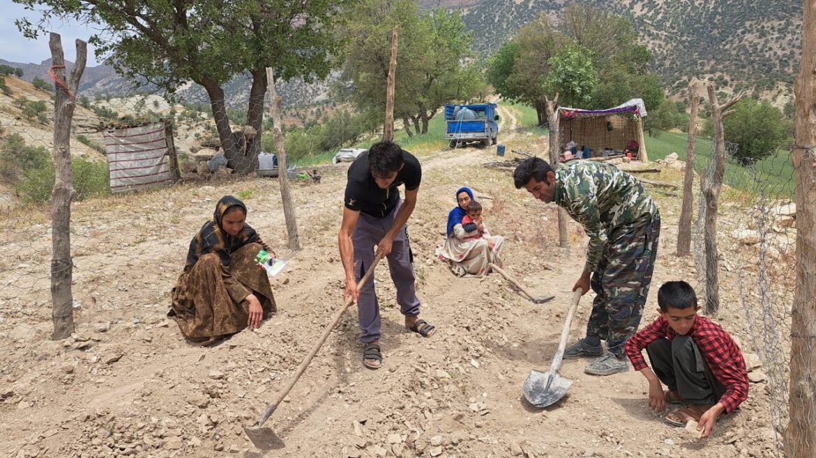 Creating a Thriving Vegetable Garden as Nomads in Iran