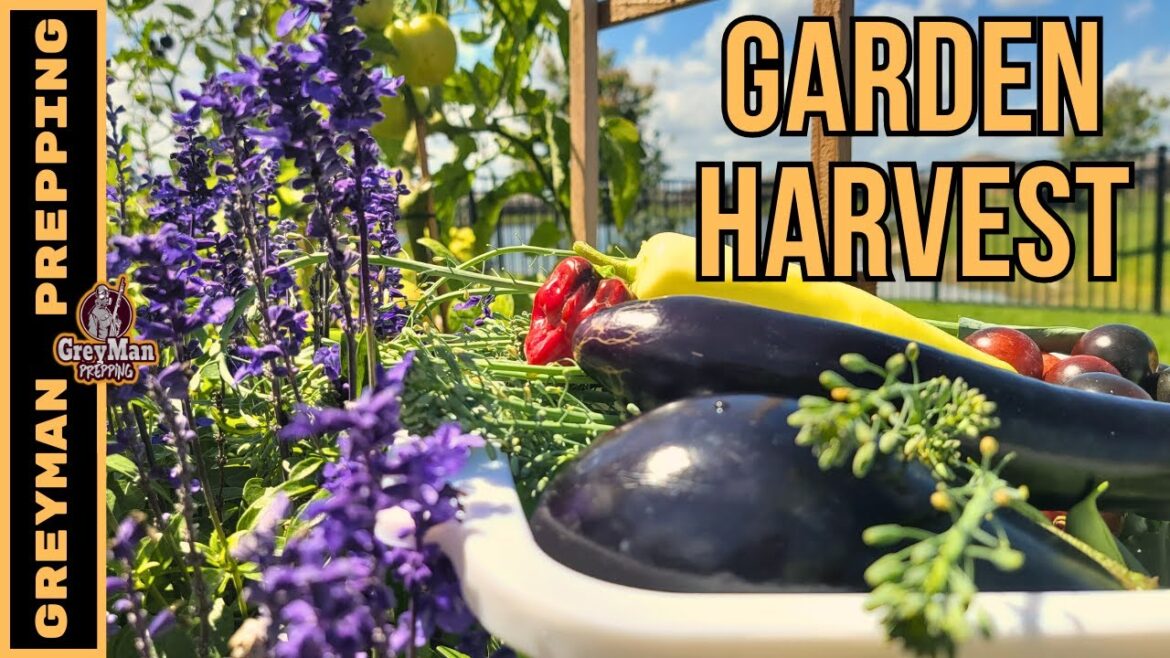 Spring Vegetable Garden Harvest 2023