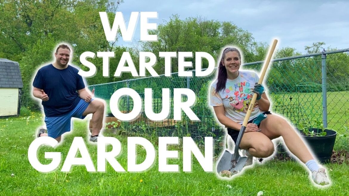 WE STARTED OUR GARDEN | Vegetable Garden in Our Backyard