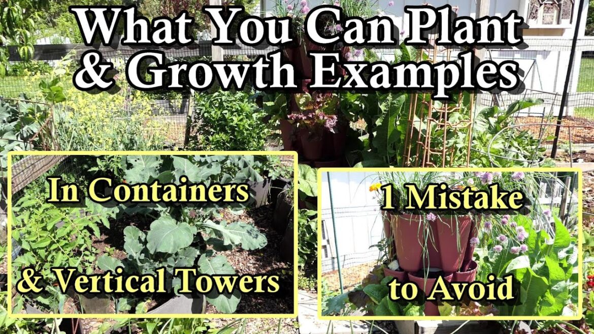 Container & Vertical Tower Gardening E-2: Planting Options, Growth Examples, Proper Container Size