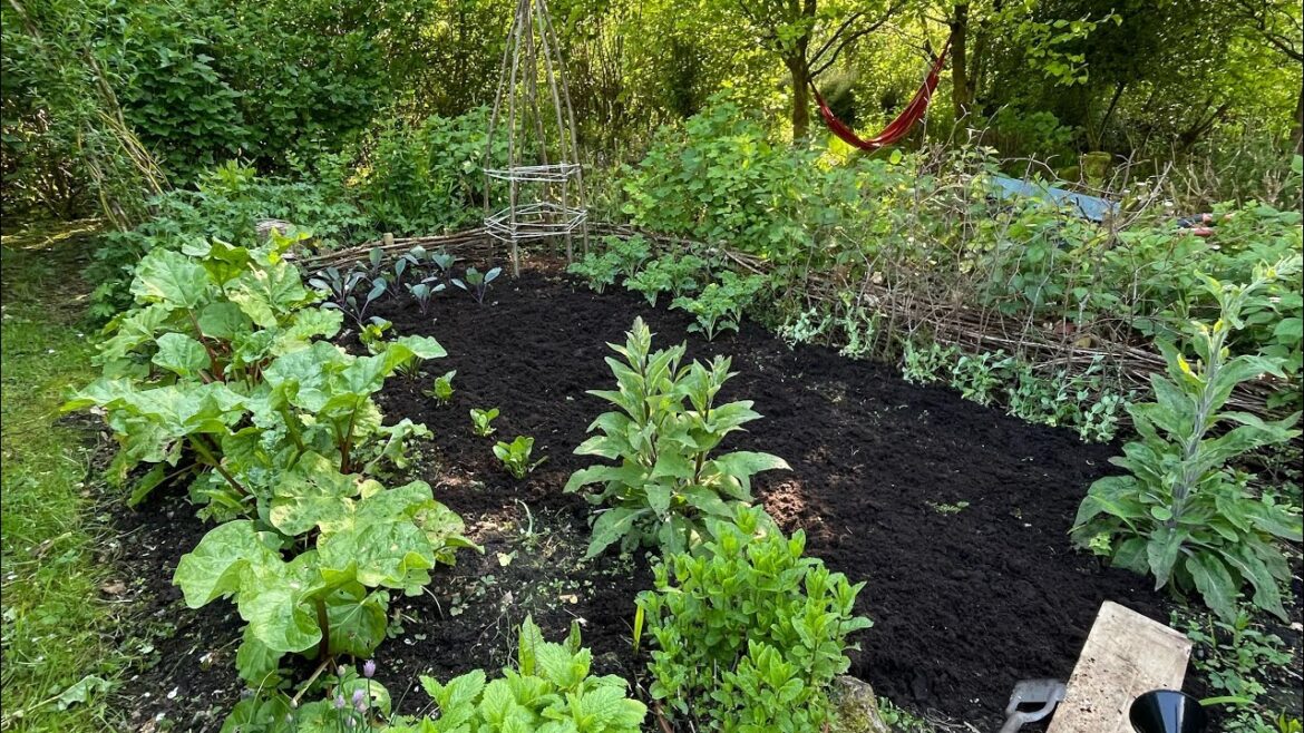 Cottage Vegetable Garden~Planting...