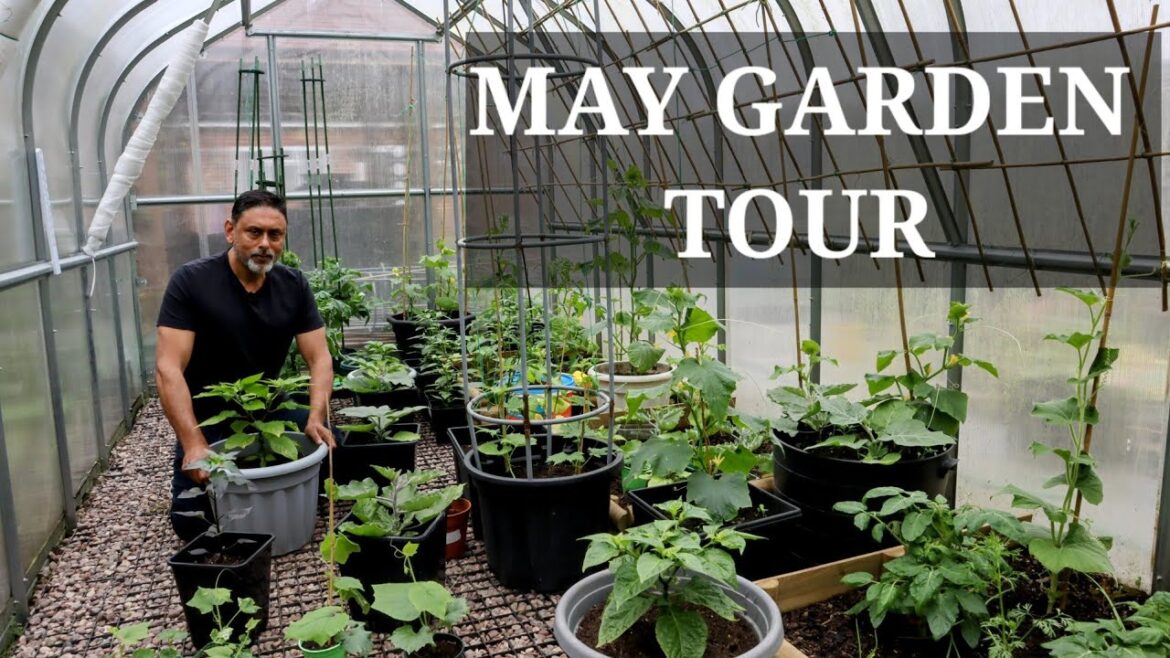 Day In Our Greenhouse, Vegetable Growing Tips