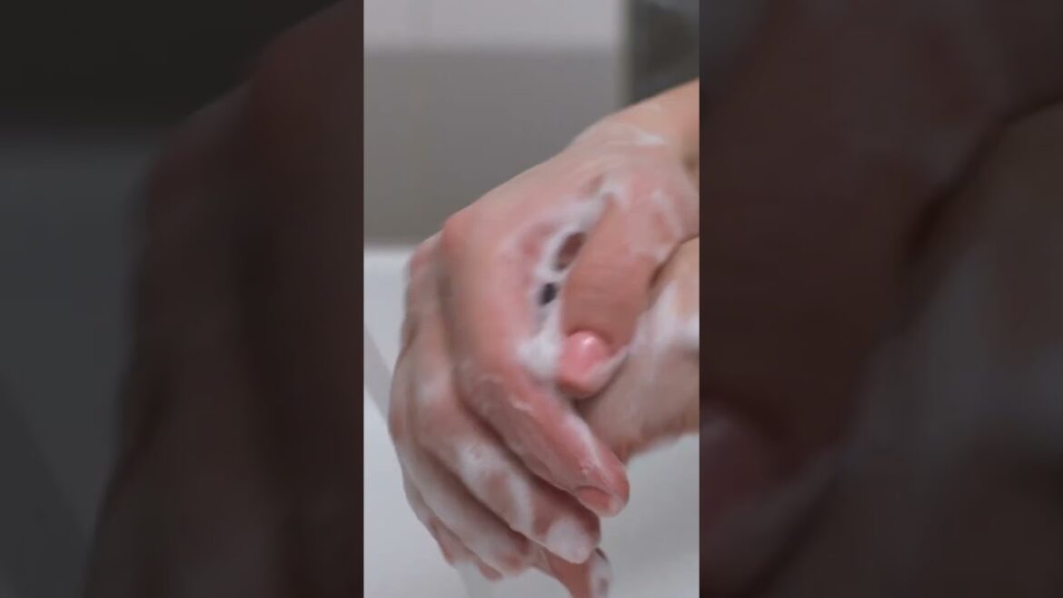 Can you use pressure treated wood for raised vegetable garden beds?