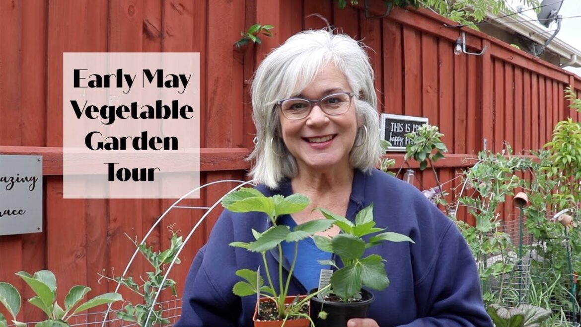 Vegetable Garden Tour Early May | Raised Bed Garden