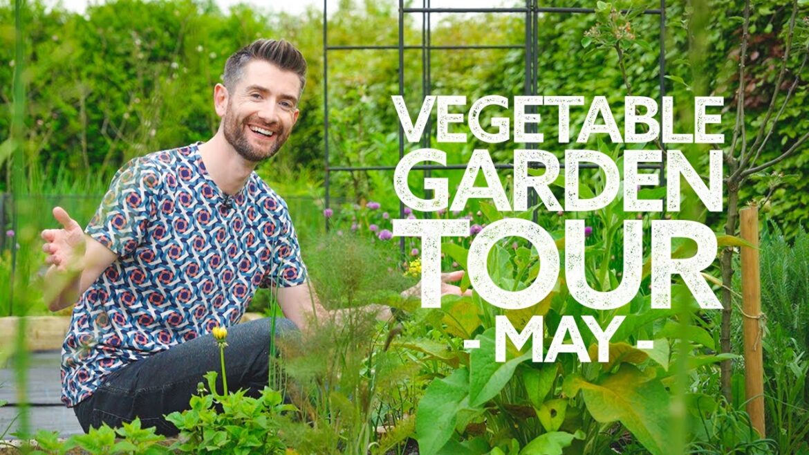 May Vegetable Garden Tour | What’s Growing Now! May Vegetable Garden Tour | What's Growing Now!