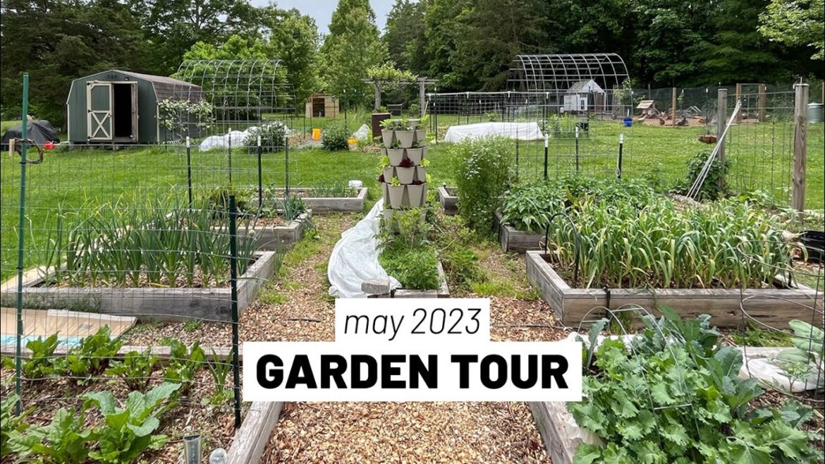 MAY 2023 Full homestead vegetable garden tour -- EVERYTHING has been planted!