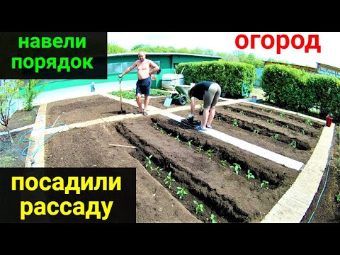 Наш огород! Навели порядок. Все посадили! Наш огород! Навели порядок. Все посадили!