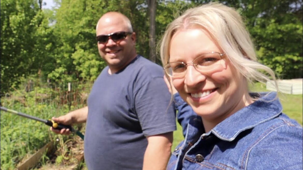 Flower and Vegetable Garden Updates