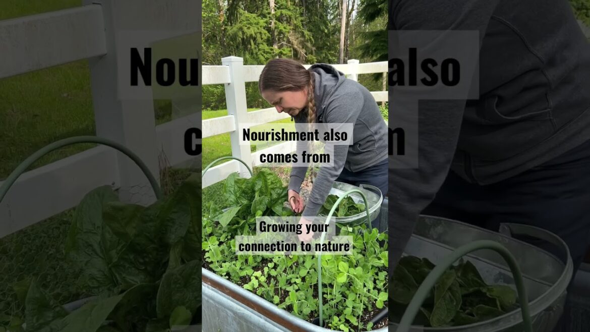 Vegetable gardening is about much more than growing your own food