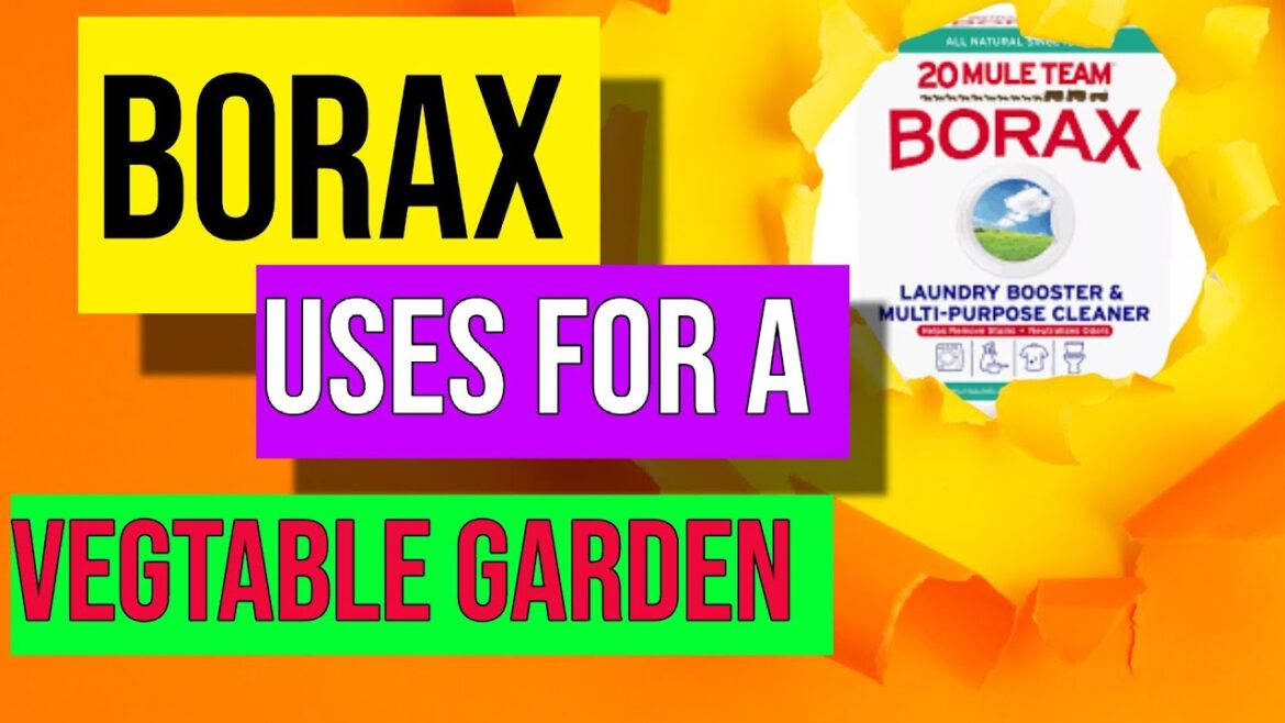 Borax Uses For Vegetable Gardening