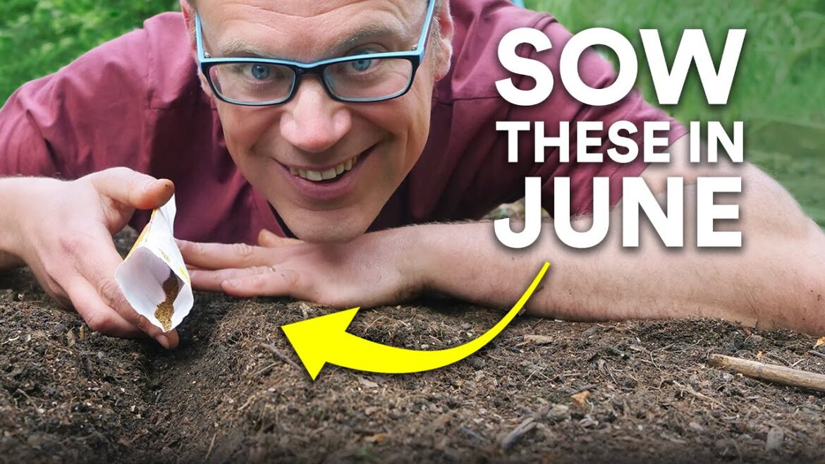 You Must Sow These in June You Must Sow These in June