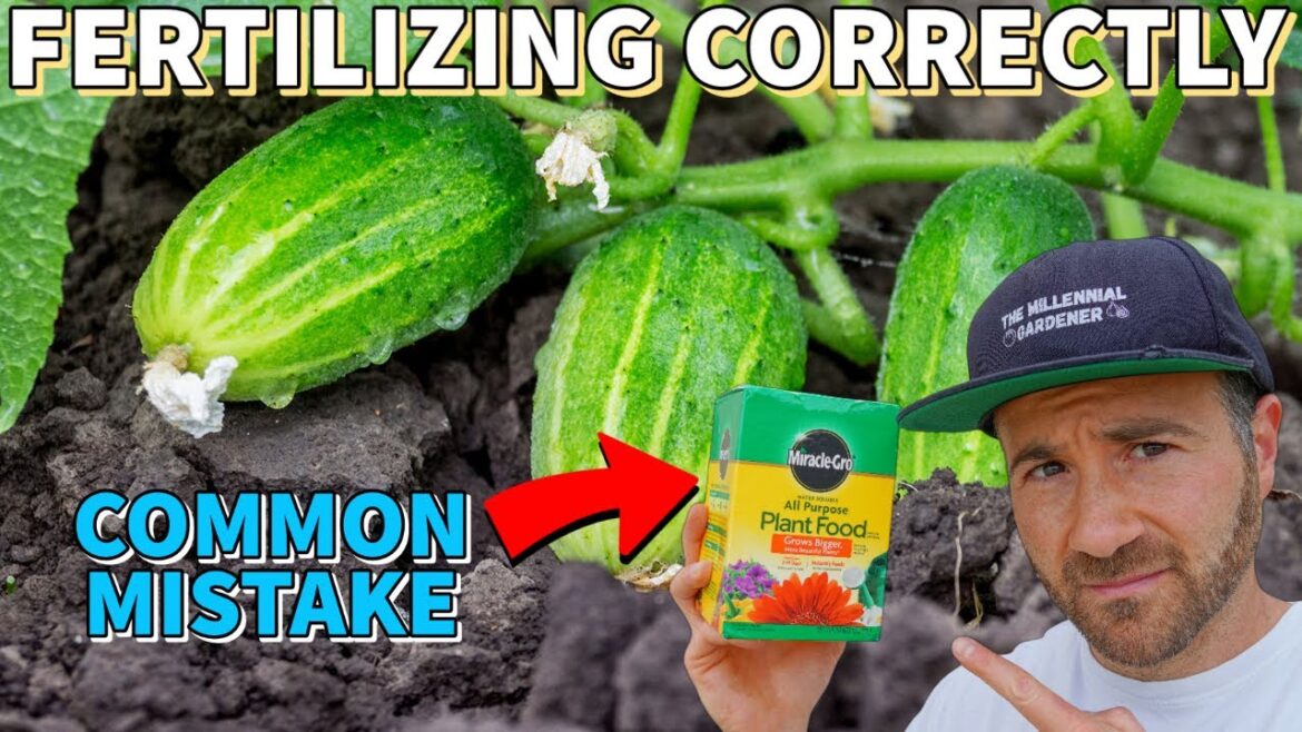 This Common Fertilizer Mistake Is RUINING Your Garden's Productivity!