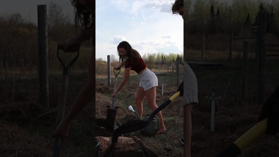 Starting a vegetable garden! Spring is here on the farm