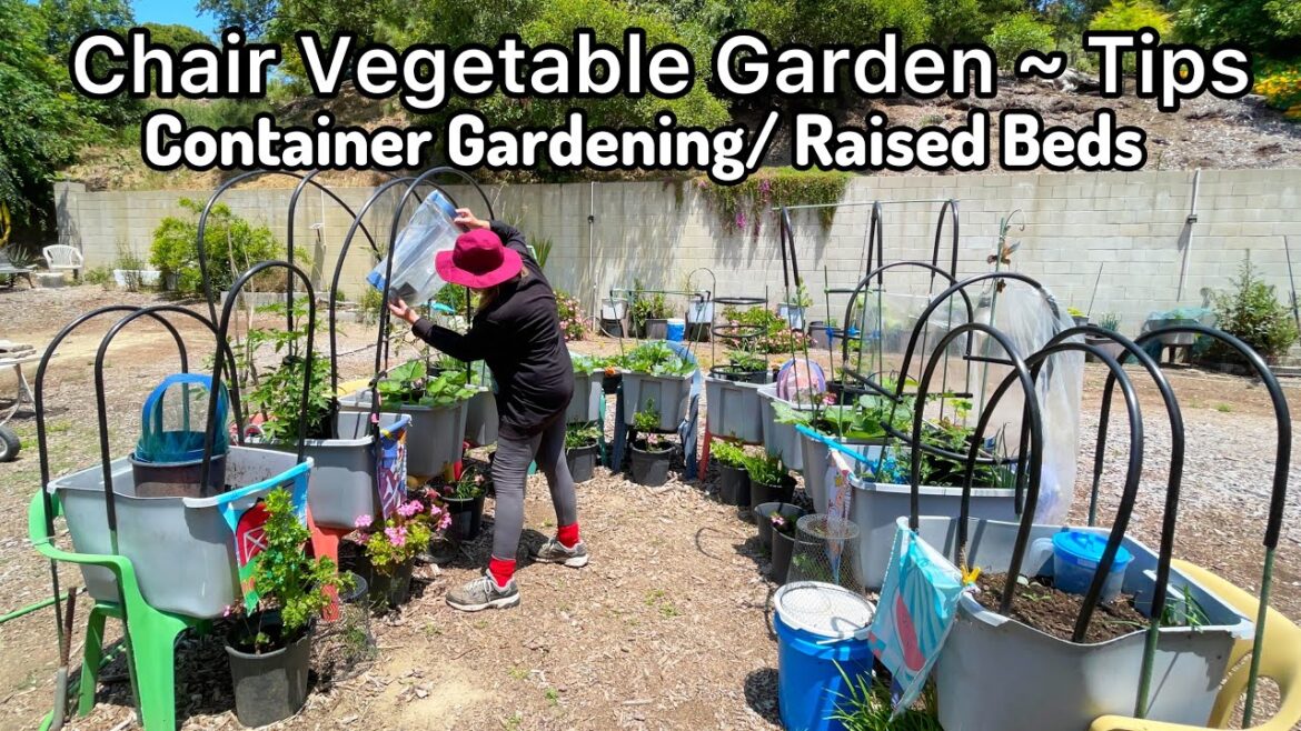 TIPS How to Grow Tomatoes Peppers Cucumbers Container Gardening, Raised Bed EASY Vegetable Garden TIPS How to Grow Tomatoes Peppers Cucumbers Container Gardening, Raised Bed EASY Vegetable Garden