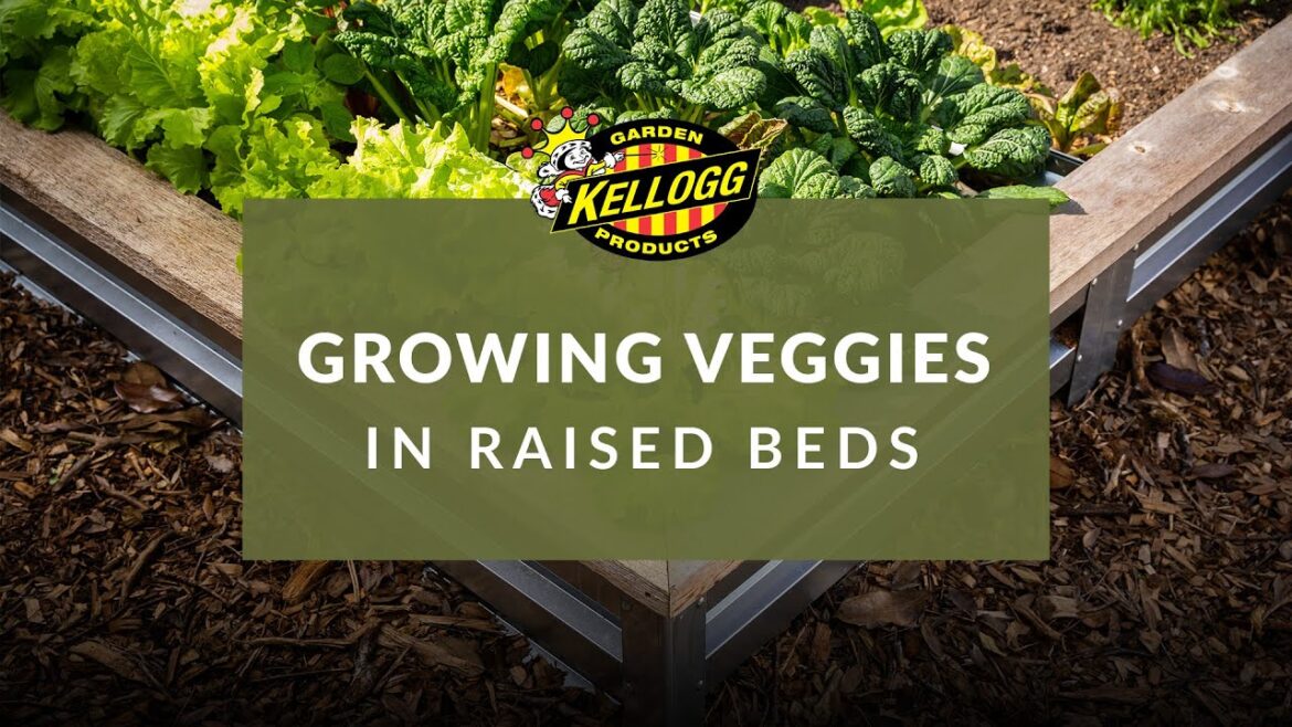 Easy Vegetable Gardening in Small Spaces: Top Crops to Grow in Raised Beds