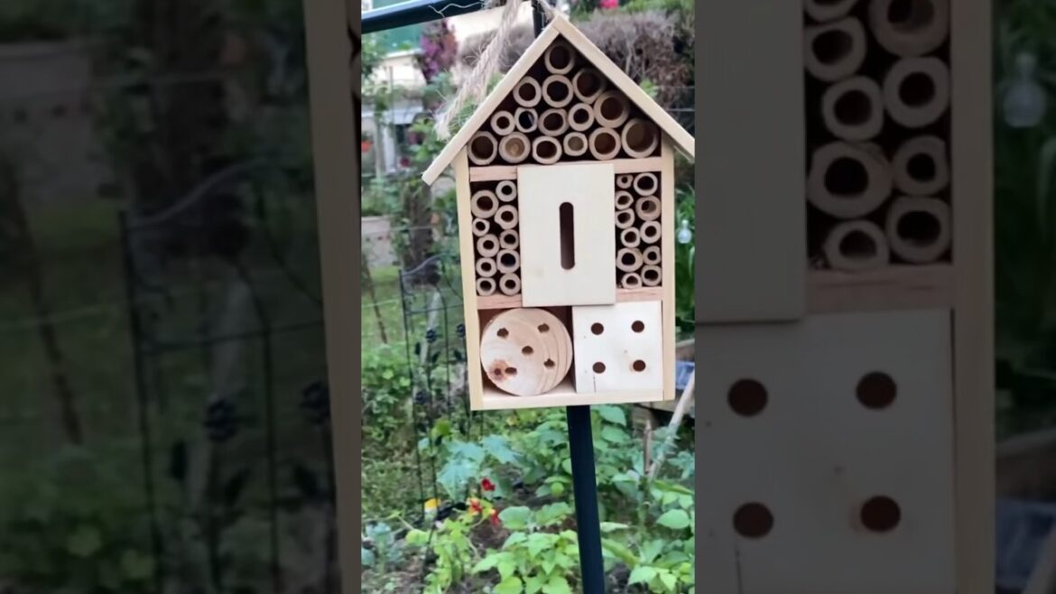 Work in the garden & vegetable Garden #countryside #homestead #gardening #homemade #simplelife
