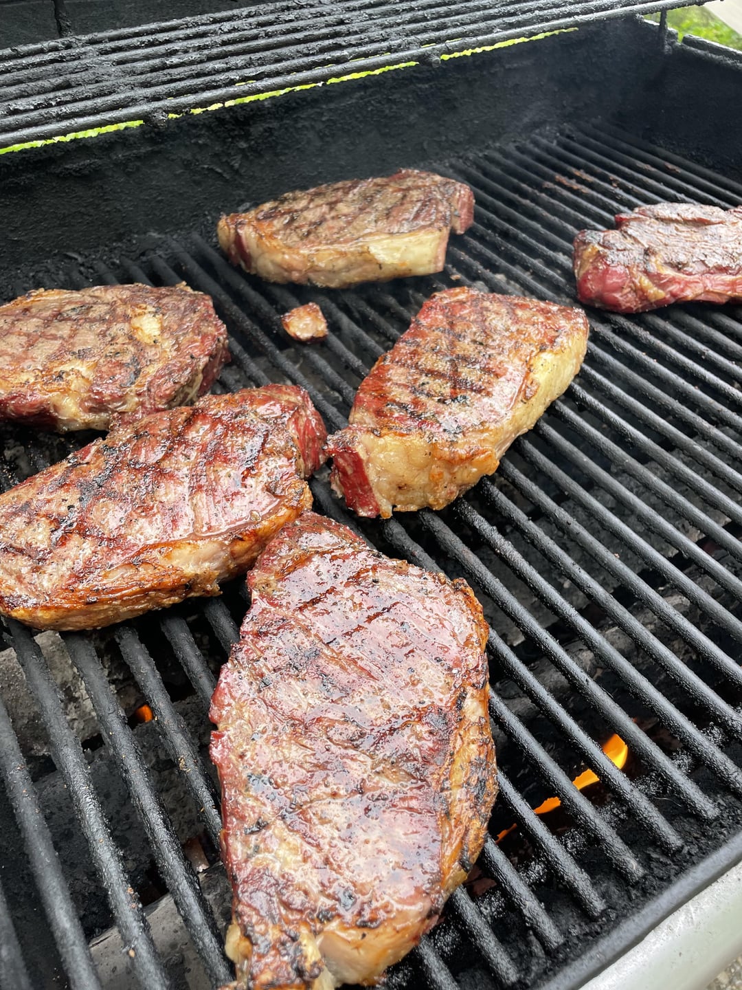 Beef vs Buffalo ribeyes. Dining and Cooking